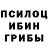 Галлюциногенные грибы ЛСД Miknail Zvezdov