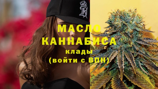 дживик Гусь-Хрустальный
