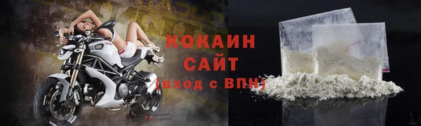 PSILOCYBIN Дмитриев