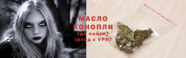 дживик Гусь-Хрустальный