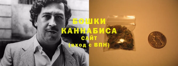 spice Гусев