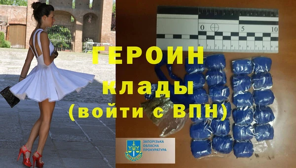 PSILOCYBIN Дмитриев
