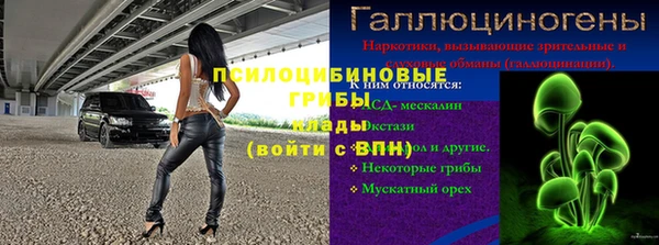 дживик Гусь-Хрустальный