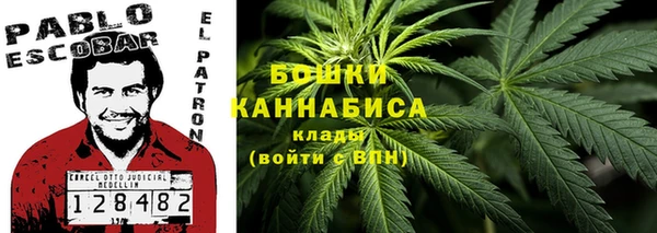 PSILOCYBIN Дмитриев