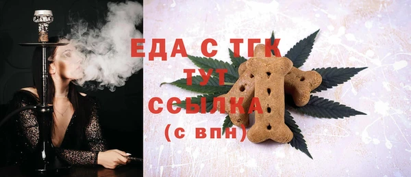 spice Гусев