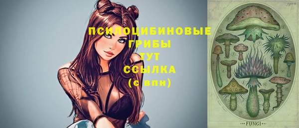spice Гусев