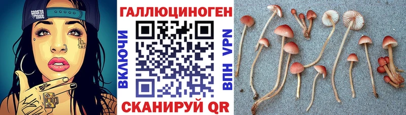 Псилоцибиновые грибы GOLDEN TEACHER  Иваново 